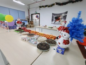 “多國風(fēng)采、別具風(fēng)格”的的圣誕節(jié)活動(dòng)
